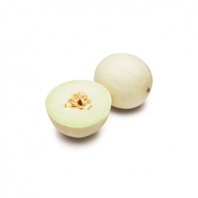 HONEYDEW/WHITE HONEYDEW MELON