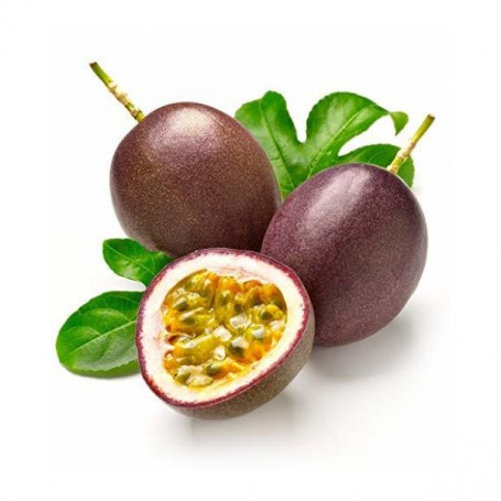 PASSION FRUIT PURPLE