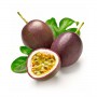 PASSION FRUIT PURPLE