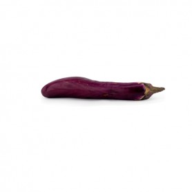 JAPANESE EGGPLANT (AUBERGINE)