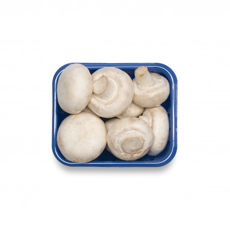 MUSHROOMS WHITE 8 OZ