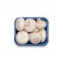 MUSHROOMS WHITE 8 OZ