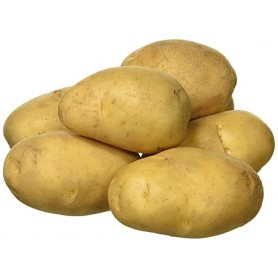 TSEL SUN MDLY FNGRLNG POT