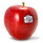 APPLES GALA STEMILT