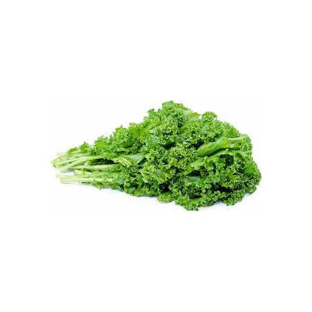 MUSTARD GRNS CURLY 10 OZ BAG
