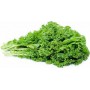 MUSTARD GRNS CURLY 10 OZ BAG