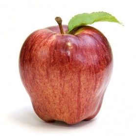 APPLES CAMEO