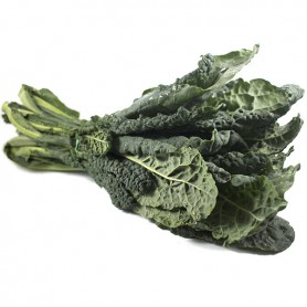 MULTICOLOR KALE
