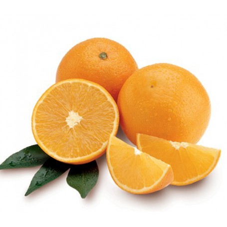 VALENCIA ORANGES