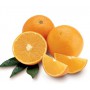 VALENCIA ORANGES