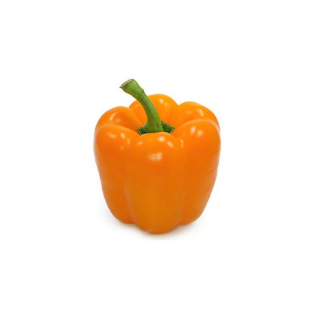 BELL GREENHOUSE PEPPERS (CAPSICUMS)