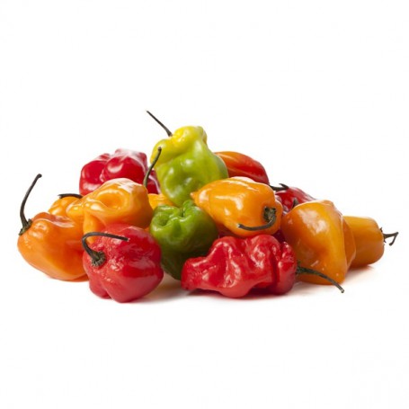 HABANERO PEPPERS (CAPSICUMS)