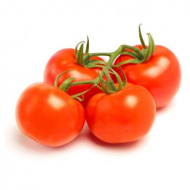 TOMATOES REGULAR
