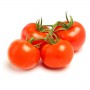 TOMATOES REGULAR