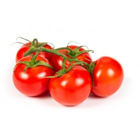 TOMATOES VINE RIPE, REGULAR