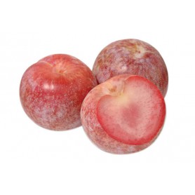 PLUMS INTERSPECIFIC