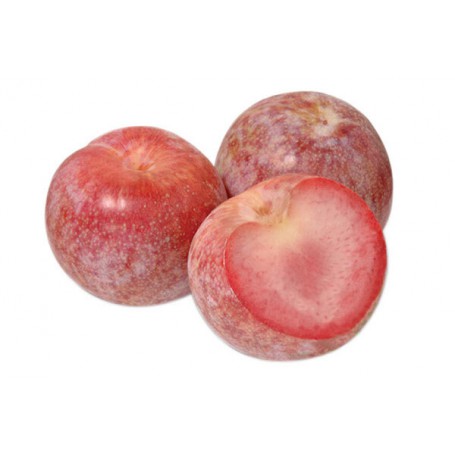 PLUMS INTERSPECIFIC
