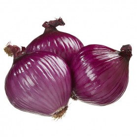 ONIONS SWEET RED ITALIAN