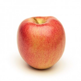 APPLES SCIFRESH