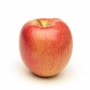 APPLES SCIFRESH