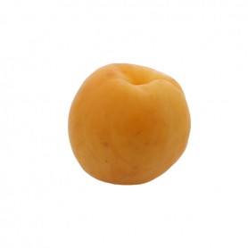 APRICOTS REGULAR