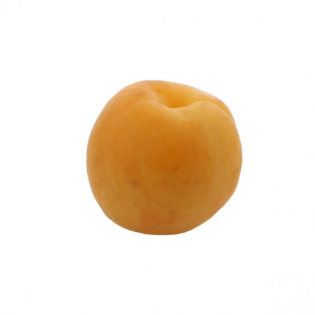 APRICOTS REGULAR