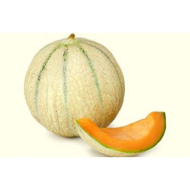 CHARENTAIS MELON