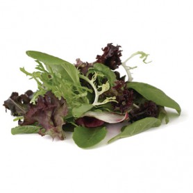MIXED SMALL-LEAF SALAD (EG SUCRINE, MESC