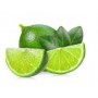 LIME PERSIAN 2# CHR WM