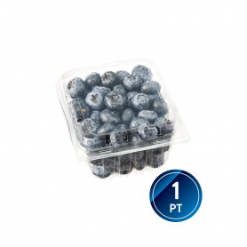 BLUEBERRIES 11 OZ
