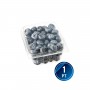 BLUEBERRIES 11 OZ