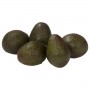 AVOCADO 4 CT WM