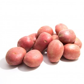 POTATO RED 3#