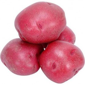 POTATO RED 15#