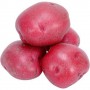 POTATO RED 15#