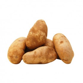 POTATO RUSSET 20#