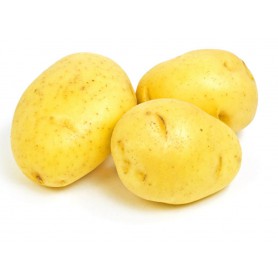 POTATO YUKON 3#