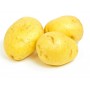 POTATO YUKON 3#
