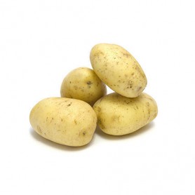 POTATO YUKON 5#