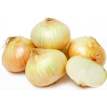 ONIONS SWEET