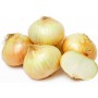 ONIONS SWEET