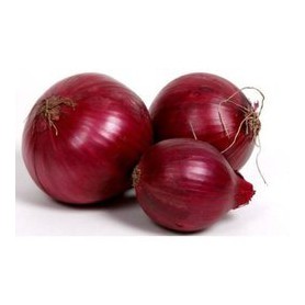 ONION 4# VID GA BF WM