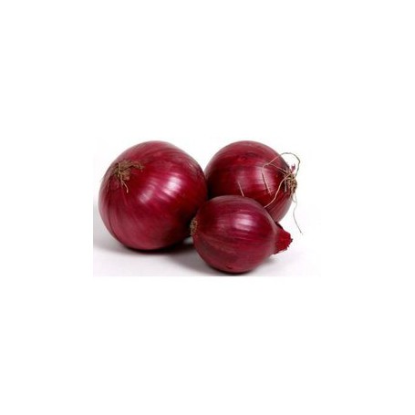 ONION 4# VID GA BF WM