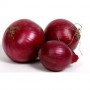 ONION 4# VID GA BF WM