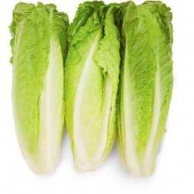 LETTUCE ROMAINE HEARTS 3 CT