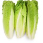 LETTUCE ROMAINE HEARTS 3 CT
