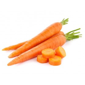 CARROTS