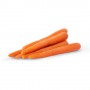CARROTS 2 LB WHOLE