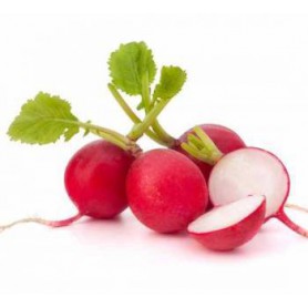 RADISHES 6 OZ