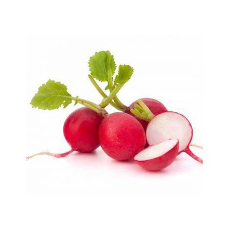 RADISHES 6 OZ